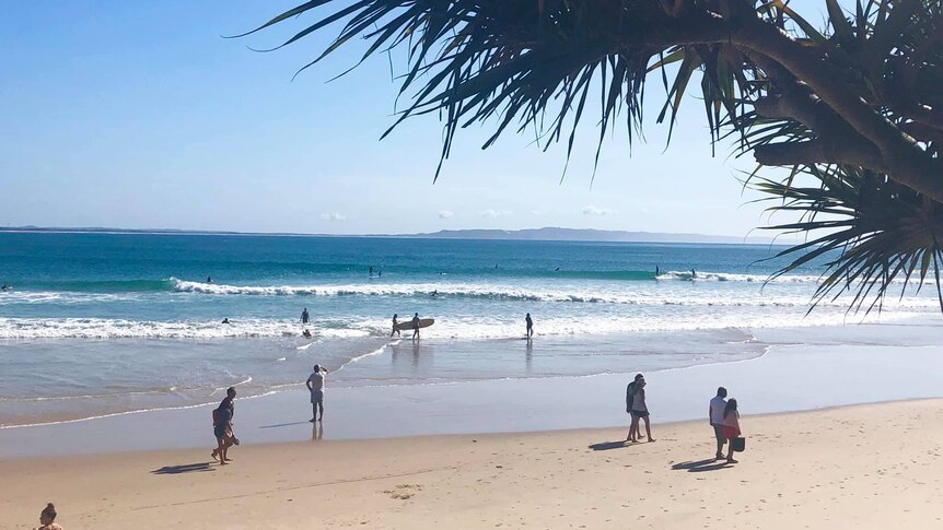 Une photo d'une plage de Noosa sur la Sunshine Coast
