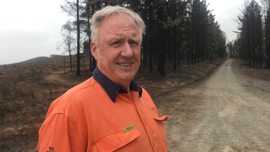 A man, in an orange work shirt, stands on a forestry track with burnt pine trees in the background