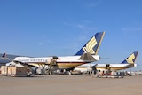 At a terminal, two Singapore Airlines cargo planes