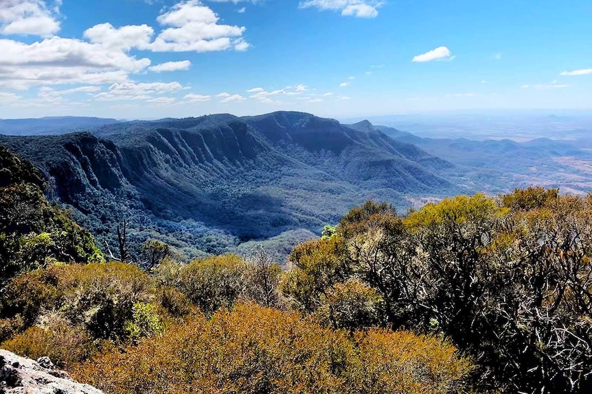 The view from the top of mountains in the Scenic Rim