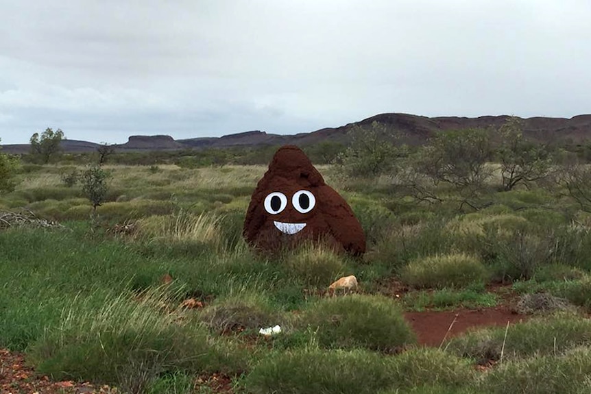 Locals transformed a termite mound in Western Australia into a smiling poop emoji.