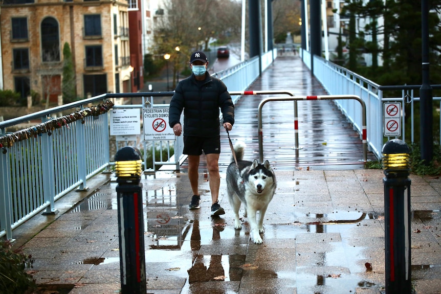 A man wearing a face mask walking a big white dog across Claisebrook Bridge with puddles on the ground.