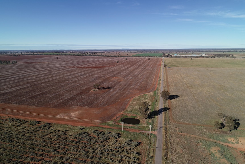 An aerial view of a cleared paddock