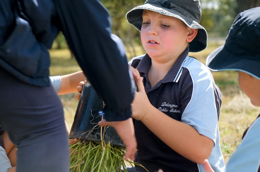 Student Edward Baker planting a tree.