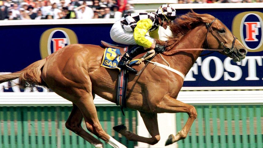 Saintly wins the 1996 Melbourne Cup