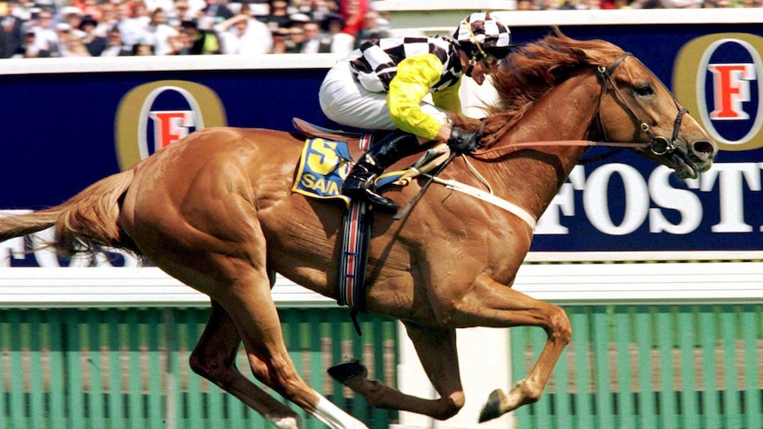 Saintly wins the 1996 Melbourne Cup
