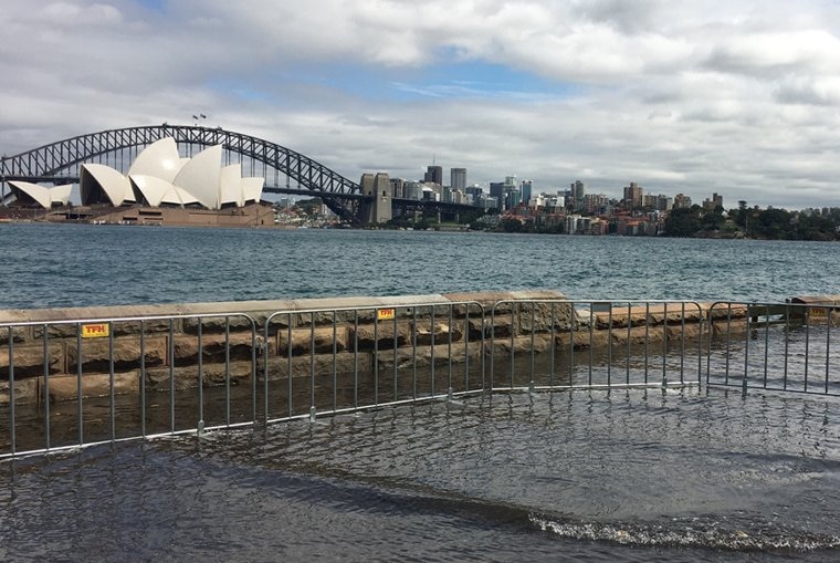 Botanic garden floods