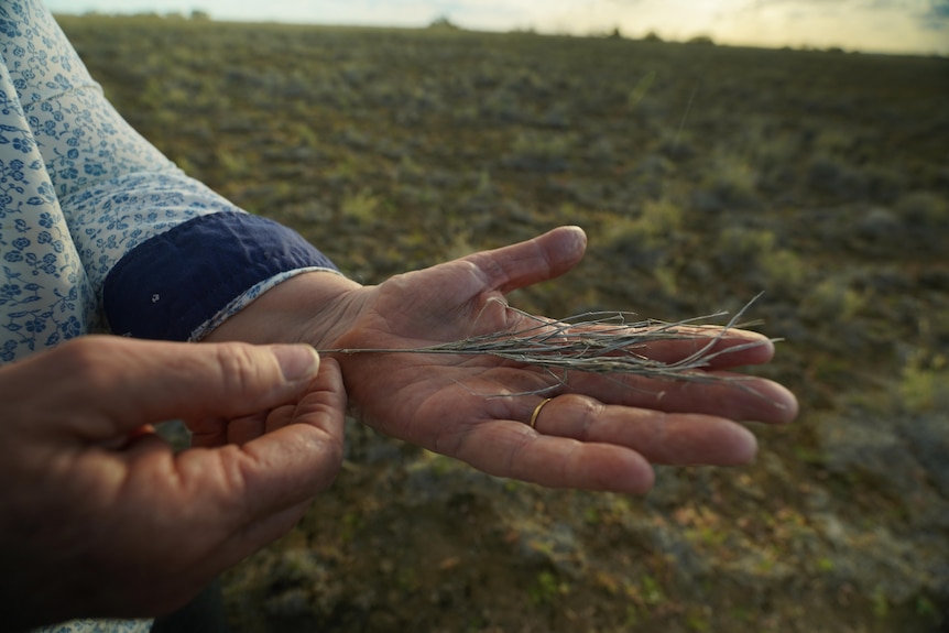 Woman holding a piece of dry grass