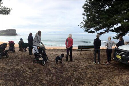 Onlookers being entertained by a whale at Avalon Beach