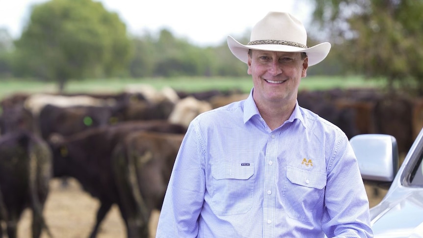 A man in a checked shirt and wide hat stands in front of a herd of cattle.