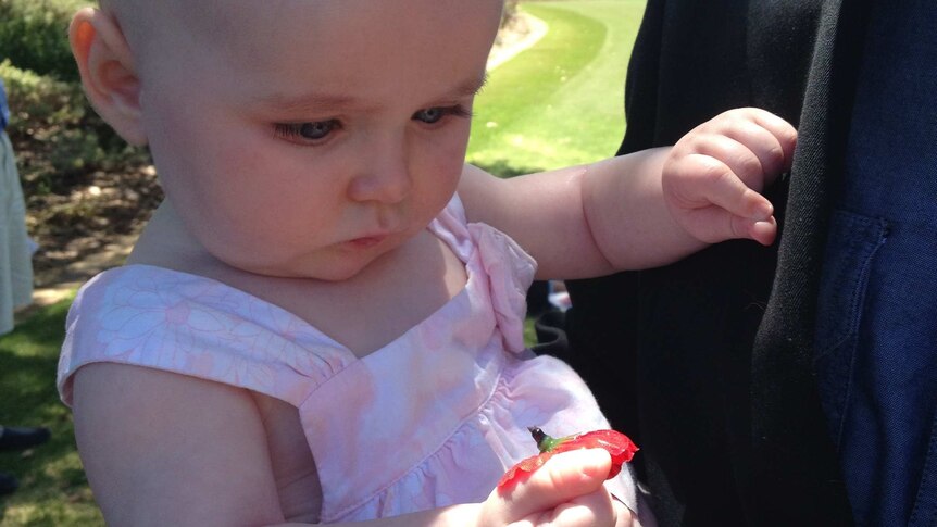 Baby Kimberley Bursnall plays with a red poppy at the Remembrance Day service at Kings Park.
