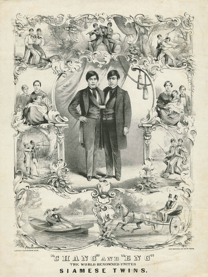 Black and white illustration of Chang and Eng.