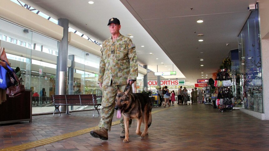 Turk and his handler walk through a shopping centre in Ipswich.