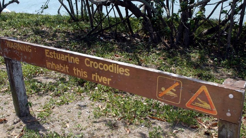 The Government will reveal its new draft crocodile management plan next week. [File image].