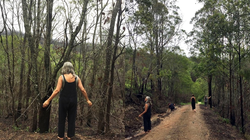 People stand along a bush track, looking at the burnt trees that line it.