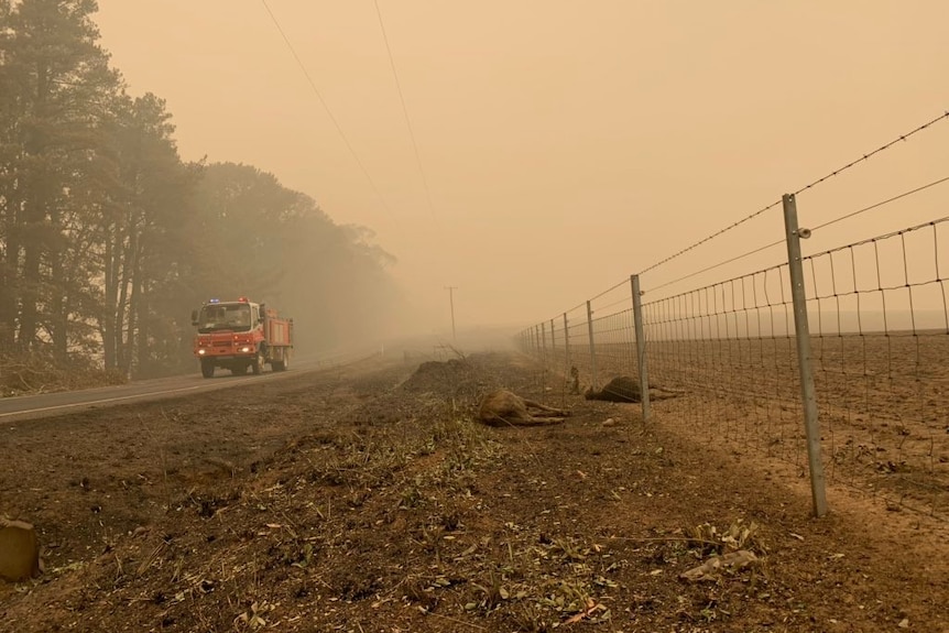 a firetruck drives along a road next two dead animals near a fence