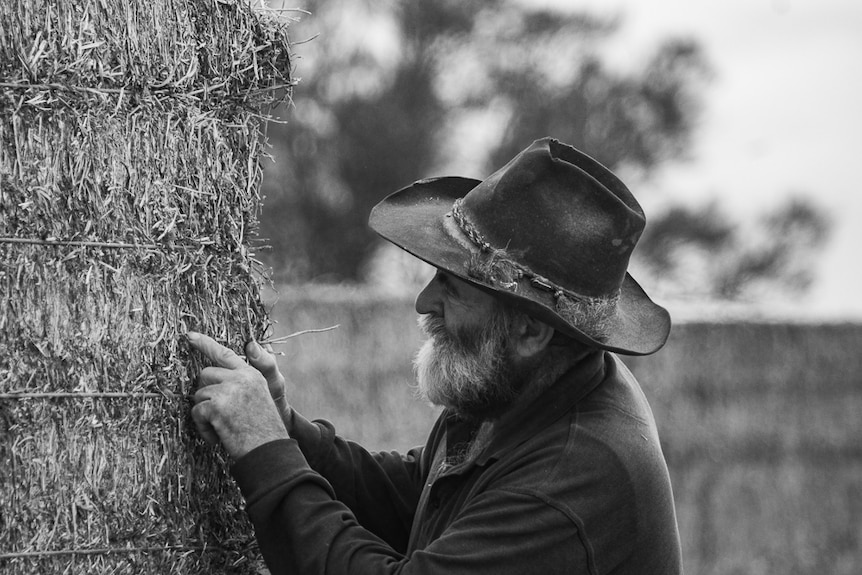 A grazier inspects a large bale of hay, a photo by Kate Baxter.
