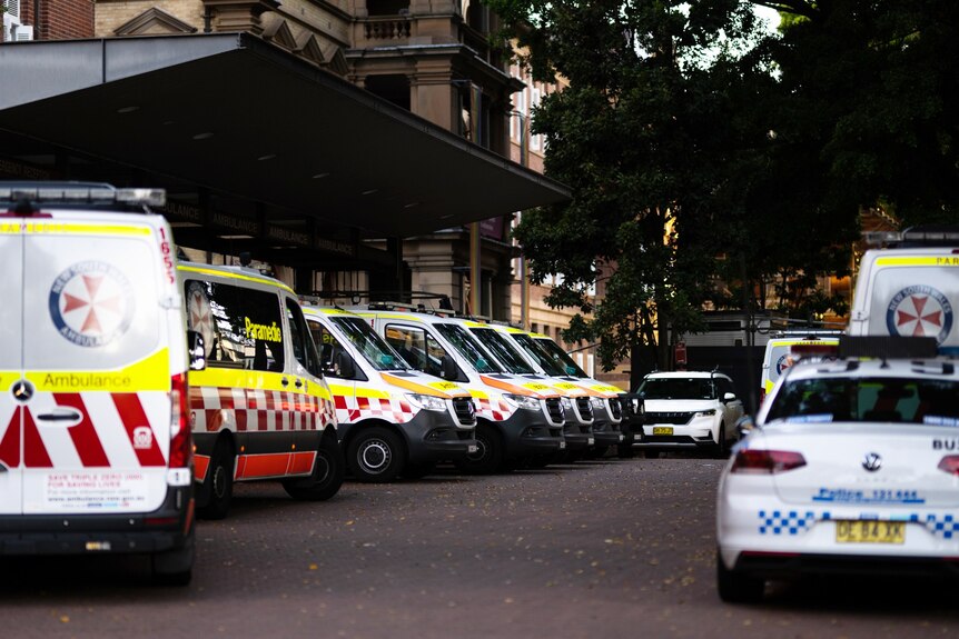 A line of ambulances and a police car outside a Sydney hospital