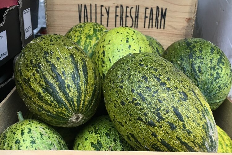 A box of melons that had been grown in a glasshouse in Tasmania