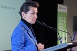 UN Climate change negotiator Christiana Figueres has urged Australia to show leadership during emission reduction talks in Paris