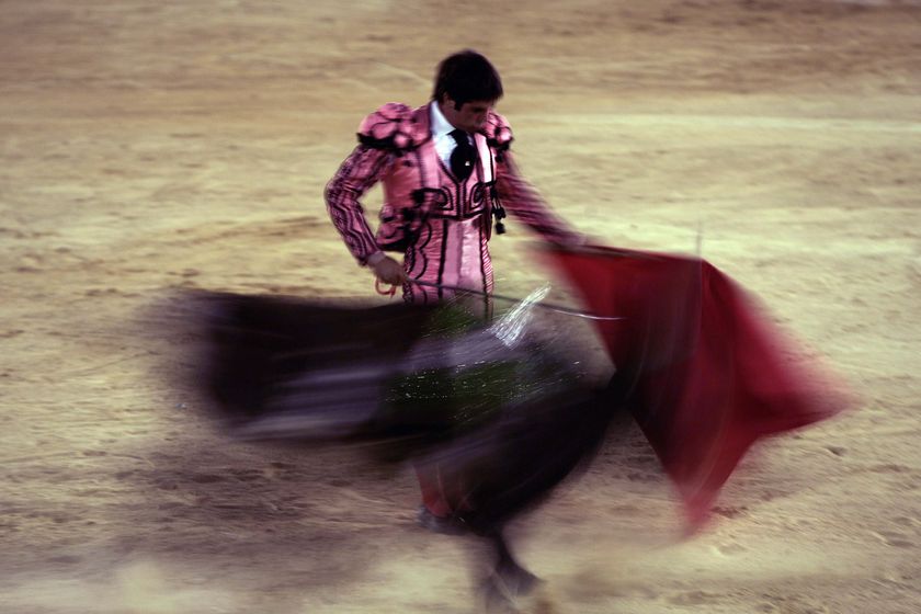 Seven gored in Spanish bull run - ABC News