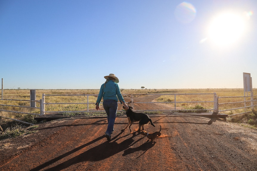 Bright runny morning with woman walking toward gate as dog happily follows