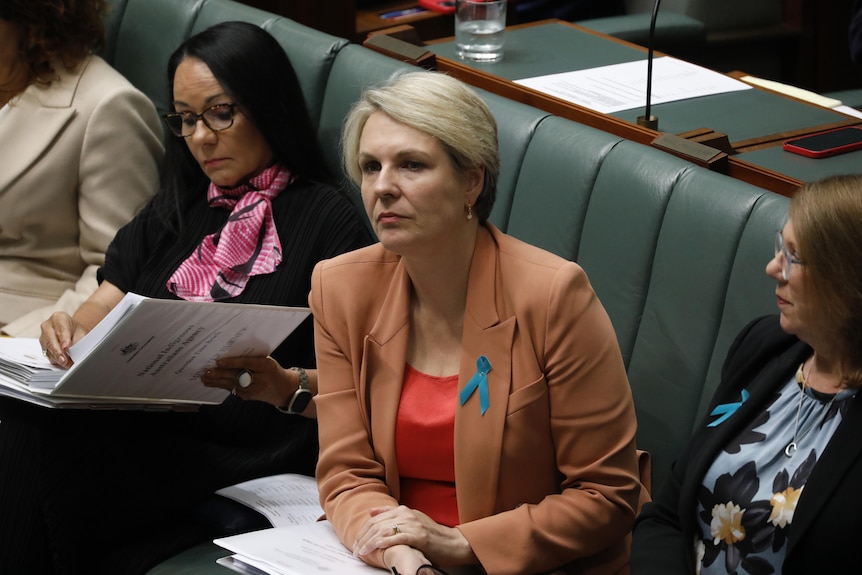 Tanya Plibersek sitting in Question Time in the House of Representatives. 