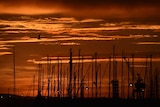 The sun rises through boat masts over Port Phillip Bay.