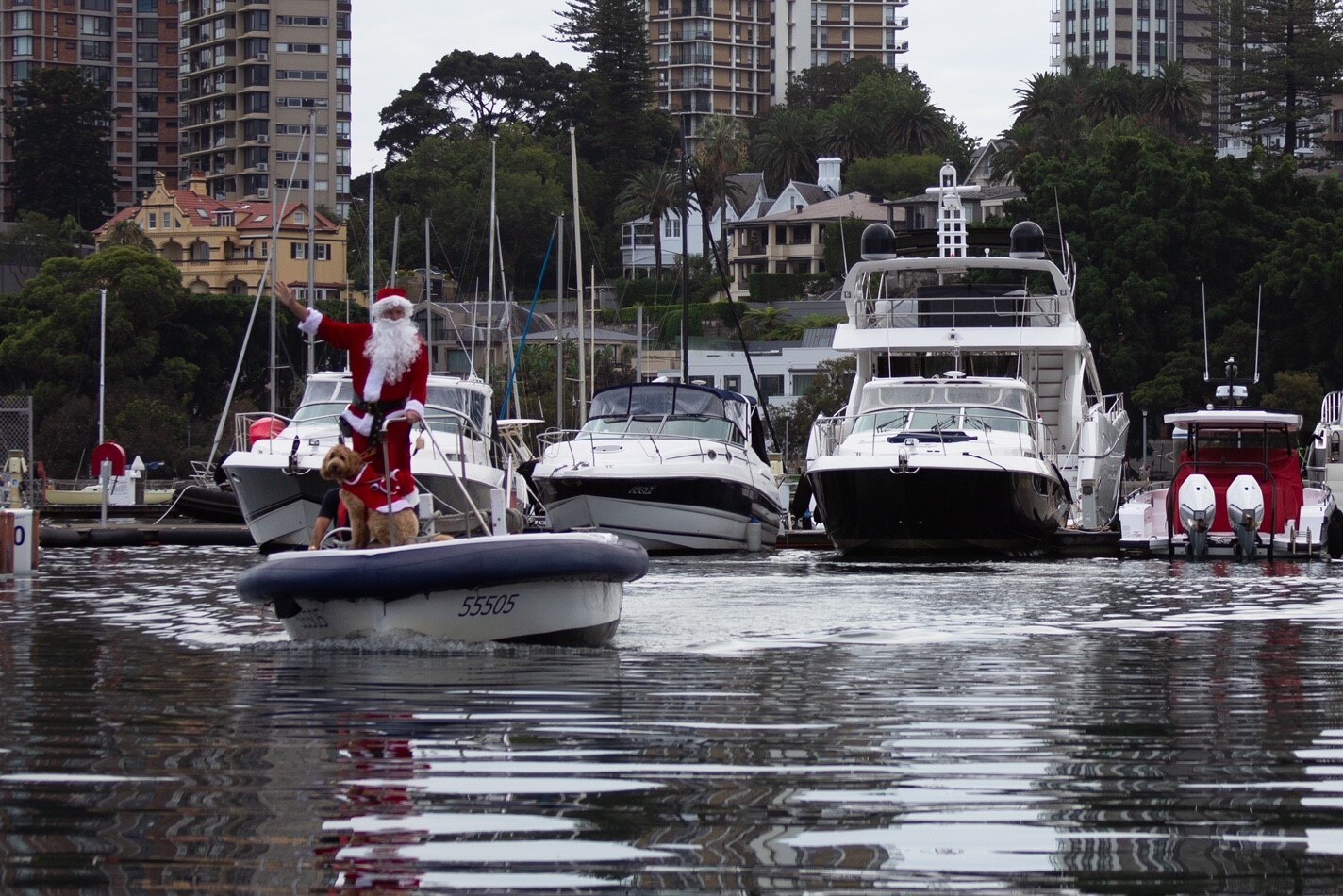 A man in a santa costume walks a dog dressed in Christmas attire.