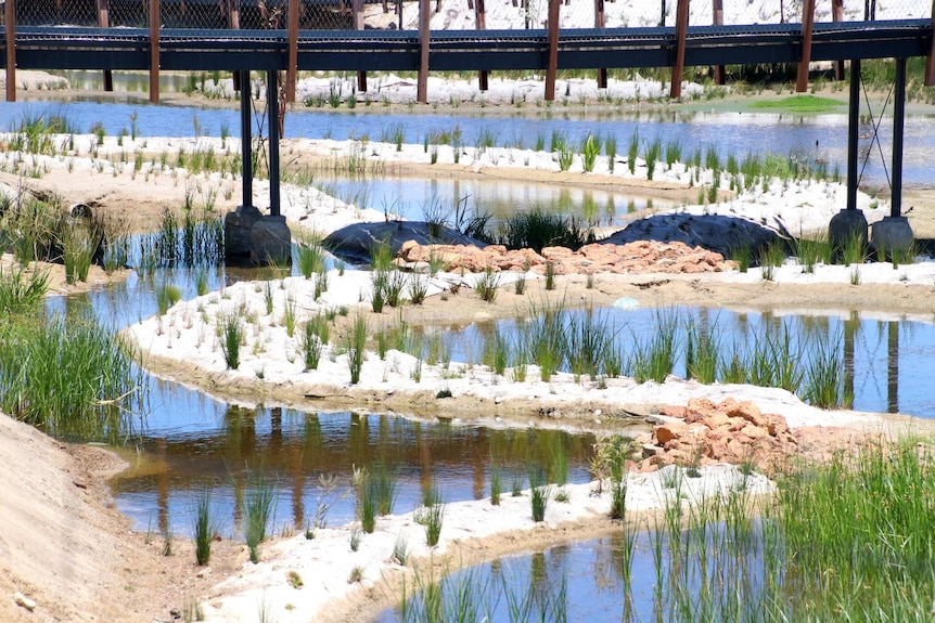 A meandering swamp with a bridge crossing