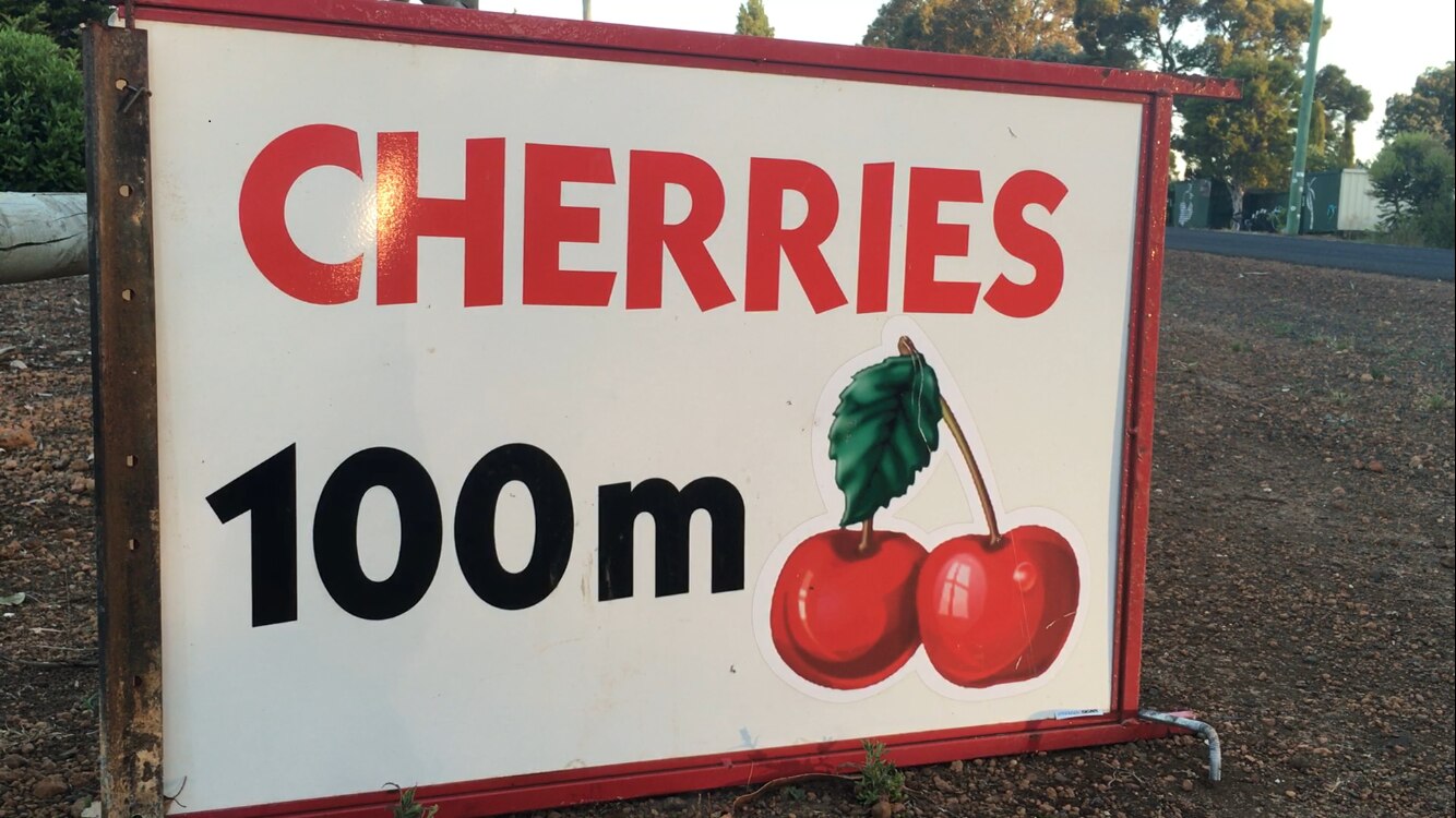 Record cherry crop expected for Australia, but prices to remain stable