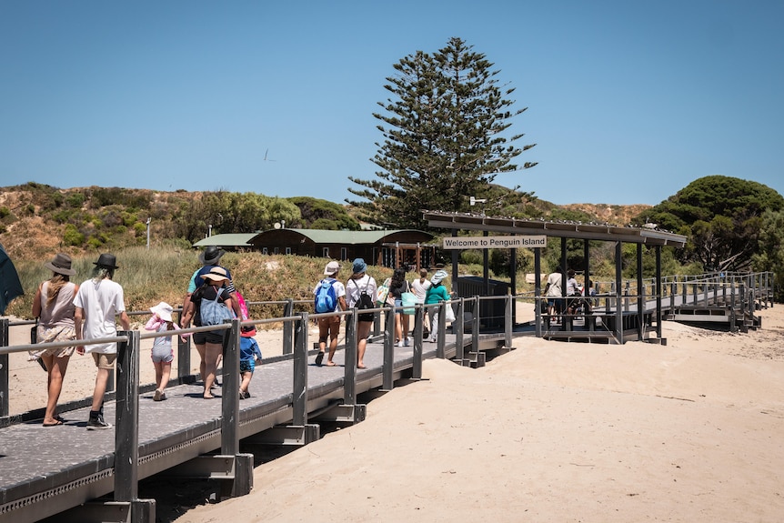 People walk along a boardwalk over a beach.