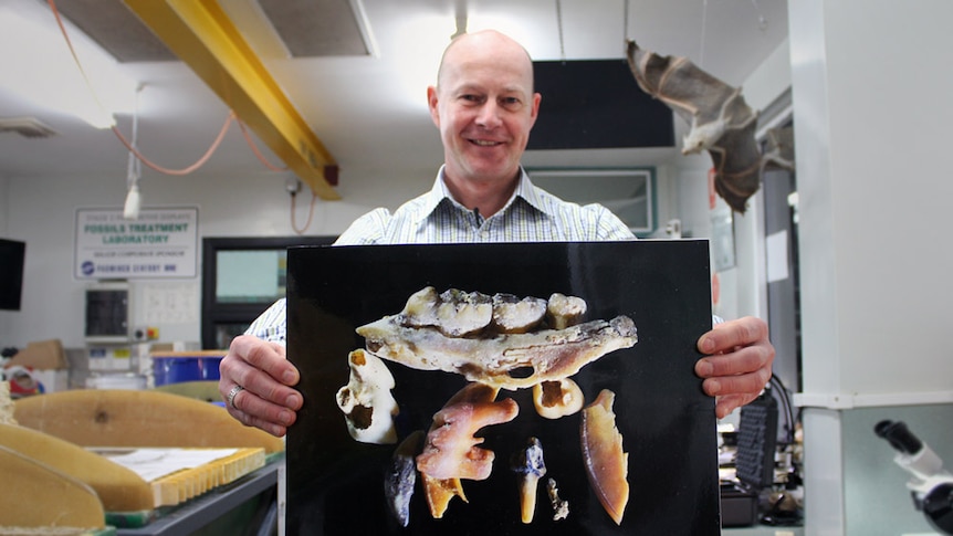 Alan Mathieson standing in the laboratory holding a close-up shot of a jaw.