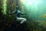 A woman free diving, with her legs curled up, looking towards the surface