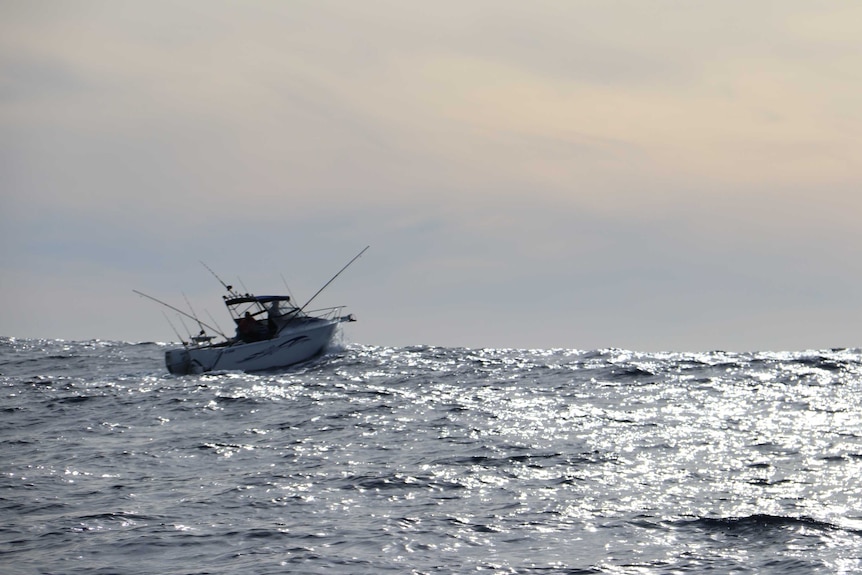 Tuna boat atop a 2 metre unbroken swell in the open ocean
