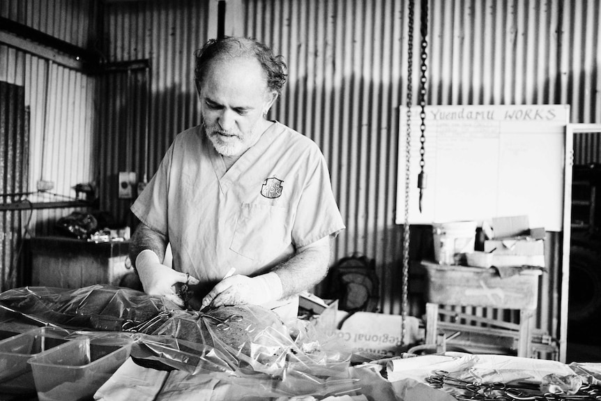 Black and white photo of veterinarian Stephen Cutter operating on a dog in Yuendumu