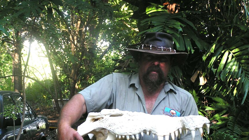 Man holding large crocodile skull.