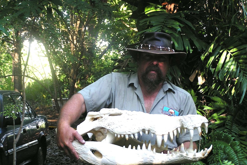 Man holding large crocodile skull.
