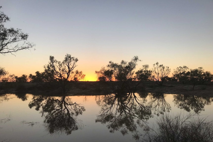 The sun rises over the banks of the Diamantina River near Birdsville