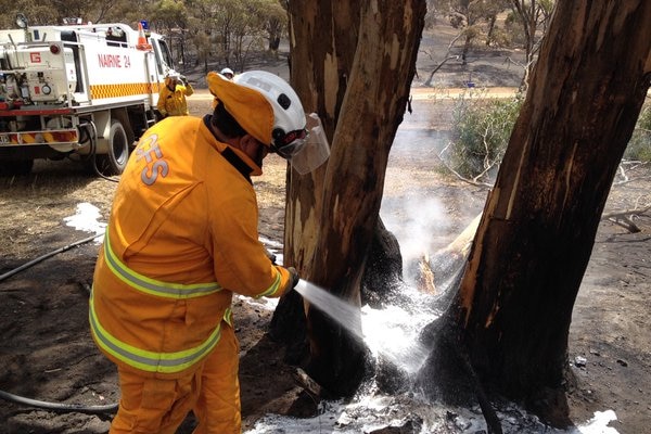 A firefigher extinguishes a smouldering tree