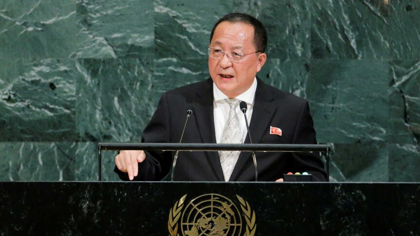 North Korean Foreign Minister Ri Yong-ho addresses the UN General Assembly (Image: Reuters)