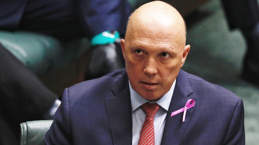 Opposition Leader Peter Dutton looks up during Question Time in the House of Representatives 