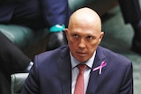 Opposition Leader Peter Dutton looks up during Question Time in the House of Representatives 