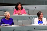Four women sit on the grey green crossbenches of the Lower House of Parliament.