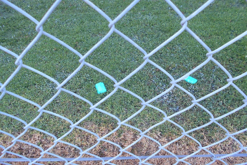 Parcels containing mobile phones at Goulburn prison