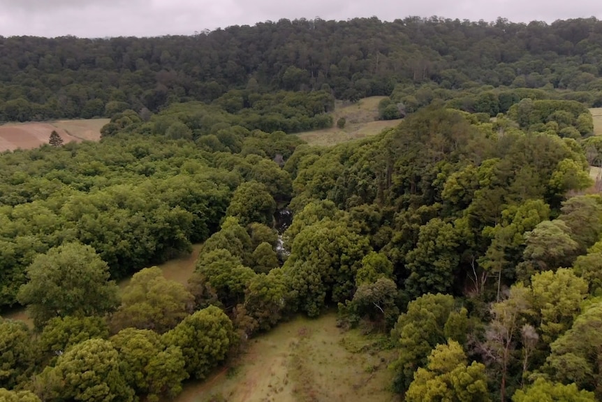 An aerial shot of bushland in front of mountain ranges fading in the distance.