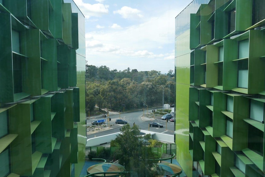 The green exterior walls of the hospital with Kings Park trees in the background and a road intersection and traffic