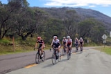 A group of cyclists in Canberra.