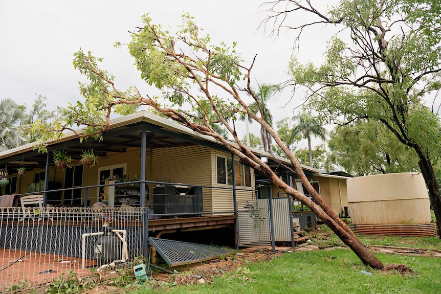 Storm damage at a Top End home, including a tree that has fallen against the roof of the property.