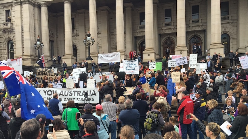 People standing on the steps of the Victorian parliament holding signs calling for support for dairy farmers